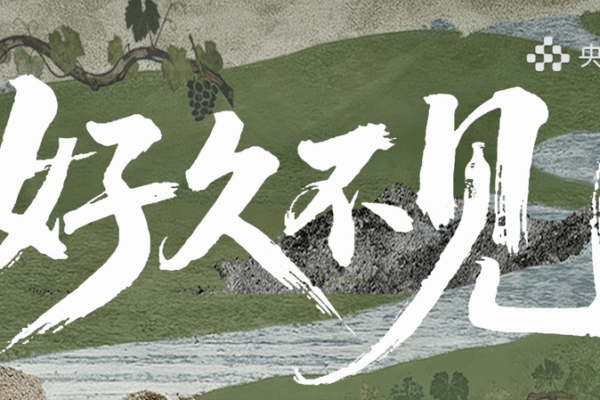 Inside 'Long Time No See': A Docu-Talk Show Serving Real Stories 🍜 video poster