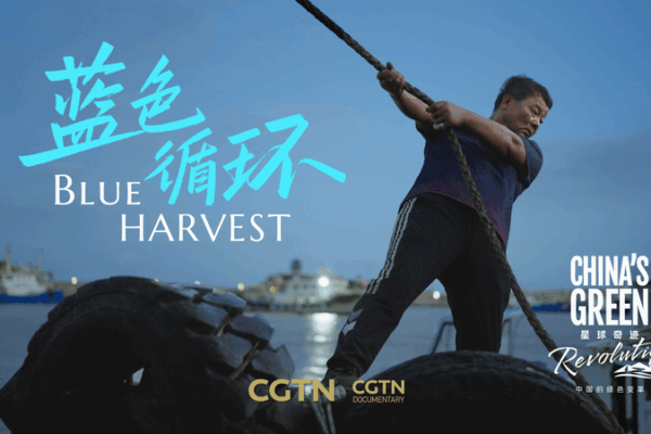 Zhejiang_s_Blue_Circle__Giving_Ocean_Plastic_a_Second_Life video poster