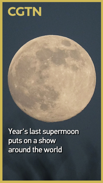 2025_s_Last_Supermoon_Lights_Up_the_Night_Sky_poster - News for amigos, by amigos 2025_s_Last_Supermoon_Lights_Up_the_Night_Sky video poster