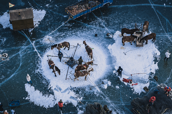 Ice & Fish: Inside Chagan Lake’s Winter Fishing Festival video poster