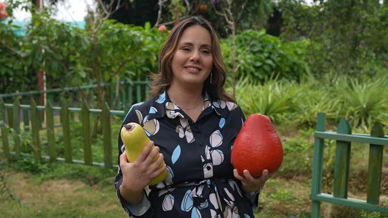 Hainan’s Tropical Revolution: Global Fruit Meets Innovation video poster