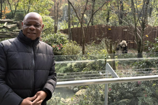 Pandas & Beyond: China's Giant Panda Conservation 🐼