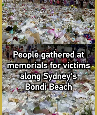 Sydney’s Bondi Beach Gathers for Memorial One Week After Shooting