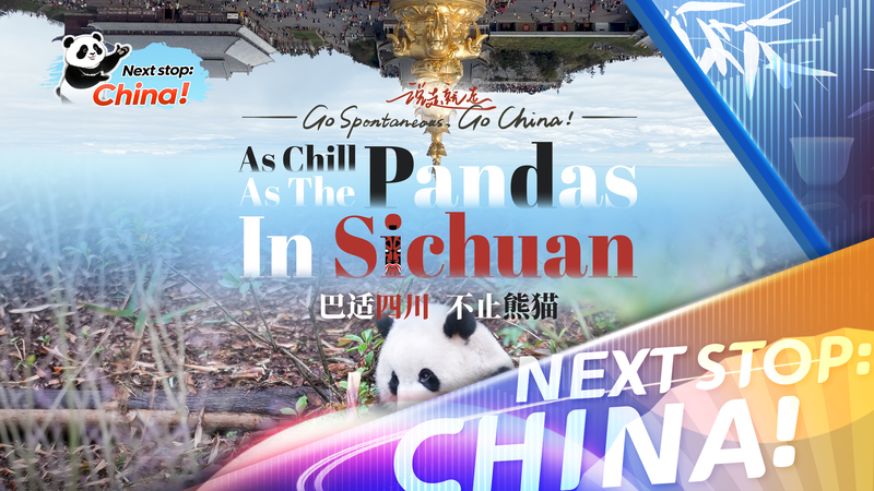 As_Chill_as_the_Pandas__Discovering_Bashi_Life_in_Sichuan video poster
