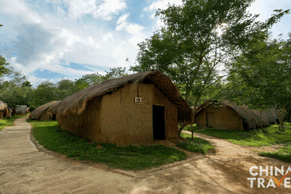 Bai_Cha_Village__Preserving_Li_Heritage_in_Hainan_s_Free_Trade_Era