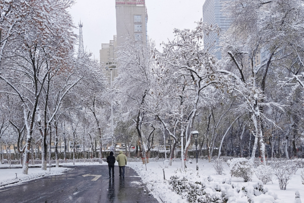 Blizzard_Hits_Xinjiang__Transport_Delays_and_Snow_Cleanup_Underway video poster