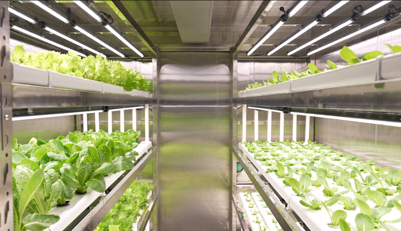 China_Unveils_First_Hybrid_Intelligent_Sea_Farming_Module_poster - News for amigos, by amigos China_Unveils_First_Hybrid_Intelligent_Sea_Farming_Module video poster