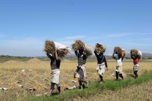 China___UN_Boost_South_South_Cooperation_in_2025