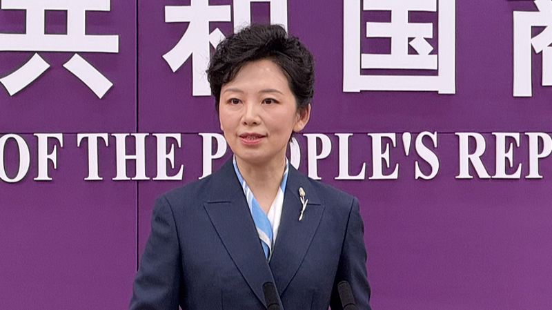 Chinese_Mainland_Responds_to_TikTok_s_US_Joint_Venture_Plan