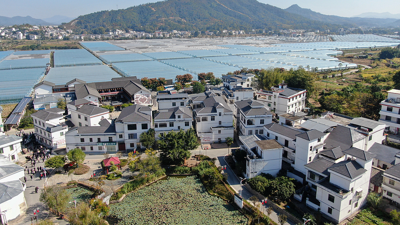 Development_as_a_Right__China___Indonesia_Co_Host_Jakarta_Symposium