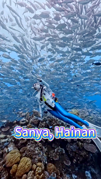 Dive_into_Sanya_s_Underwater_Paradise video poster