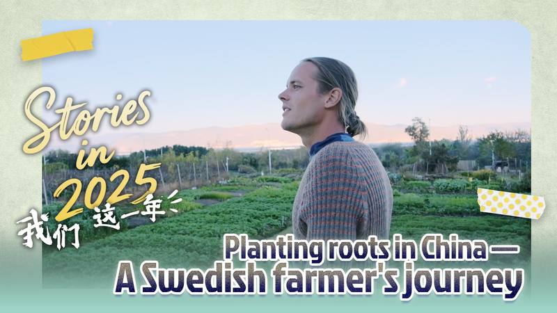 Swedish Farmer Patrik Bachstätter Plants Roots in Dali video poster