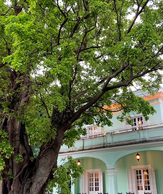 Exploring_Taipa_Houses__Portuguese_Fusion_in_Macao video poster