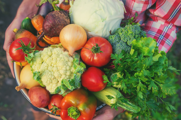 Fresh_Produce_Offshore__CSSC_s_Smart_Shipboard_Farm_Debuts