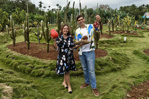 Hainan_s_Tropical_Fruit_Revolution_After_Customs_Shakeup video poster