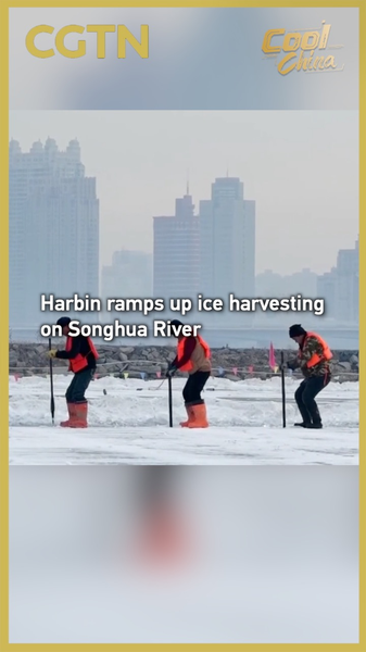 Harbin_Ramps_Up_Ice_Harvesting_on_Songhua_River video poster