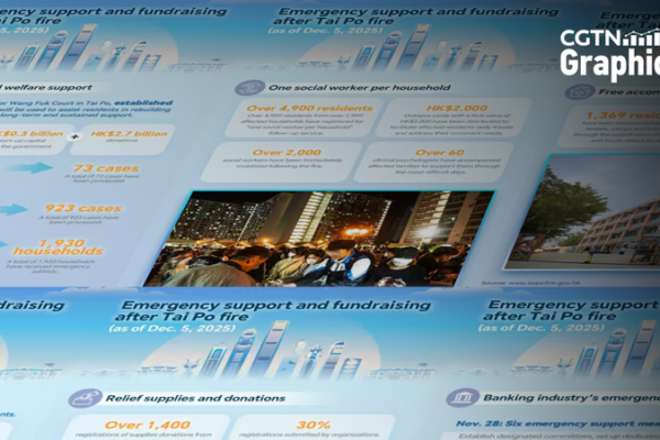 Hong_Kong_Rallies_Around_Tai_Po_Fire_Victims