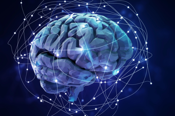 Human_Brain_Mirrors_AI_in_Language_Processing