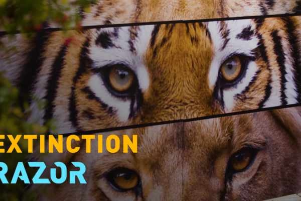 Inside_the_Cryo_Bank_Saving_Big_Cats_and_More video poster