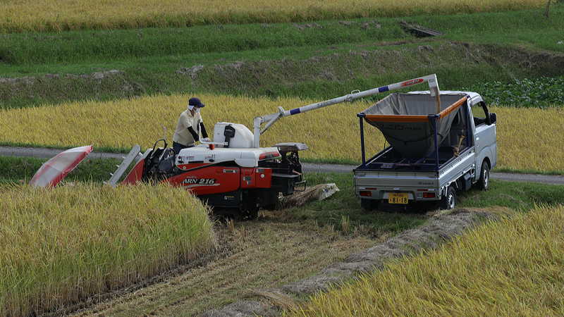 Japan_s_Self_Employed_Farmers_Hit_Record_Low_in_2025