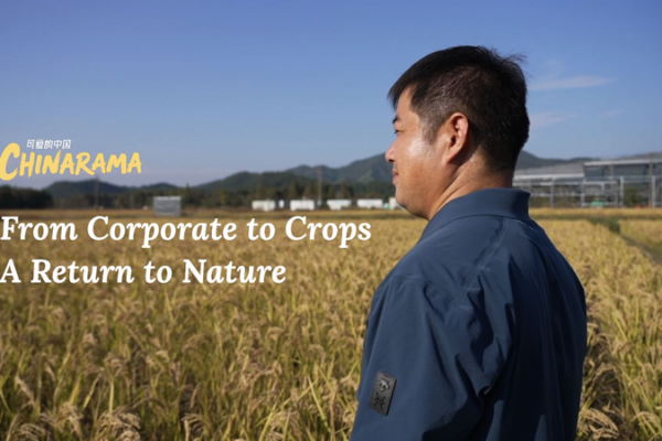 From Corporate to Crops: Wang Luliang’s Natural Farming in Zhejiang Province video poster