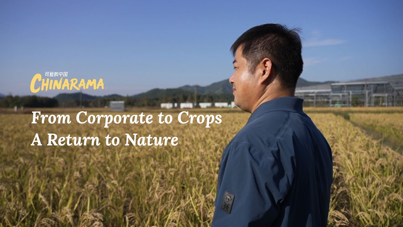 From Corporate to Crops: Wang Luliang’s Natural Farming in Zhejiang Province video poster