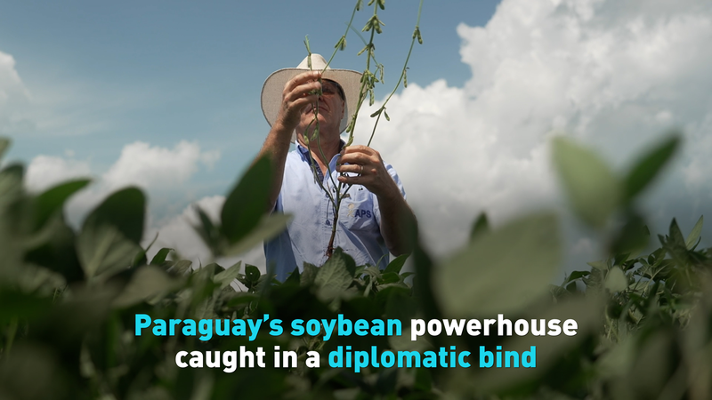 Paraguay’s Soybean Exports Caught in Diplomatic Crossfire video poster