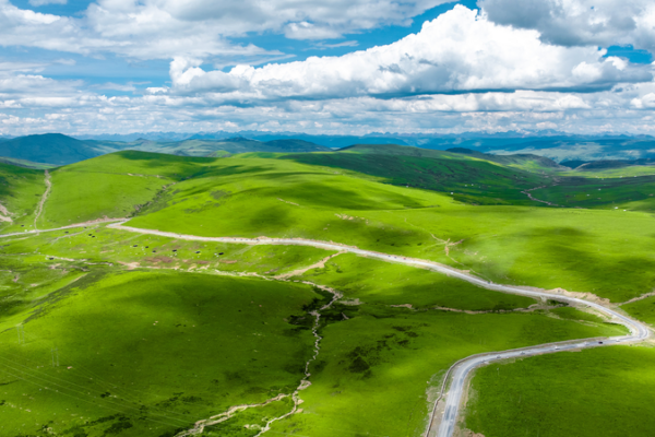 Green Revival: China’s Grasslands Thrive Under 14th Five-Year Plan