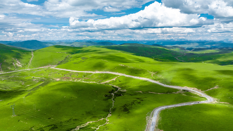 Green Revival: China’s Grasslands Thrive Under 14th Five-Year Plan