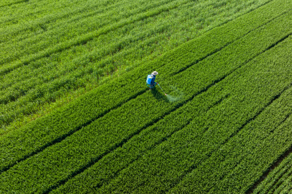 Chinese Mainland's Blueprint for Agricultural and Rural Modernization 🌾🚜