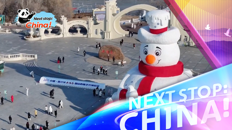 Harbin’s 38th Sun Island Snow Expo Kicks Off Next Week video poster