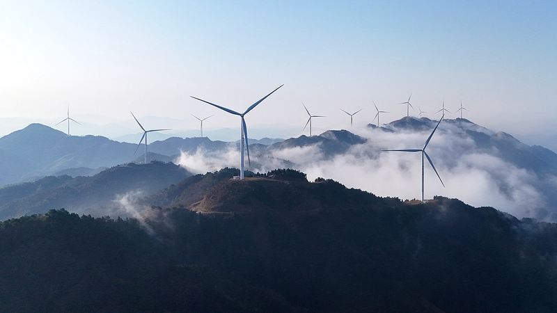 Renewable_Energy_Surge_Wins_2025_Breakthrough_Award_Led_by_the_Chinese_Mainland