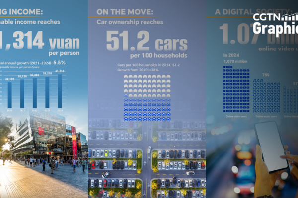 Rising_Incomes___Digital_Lives__How_Life_Changed_in_the_Chinese_Mainland