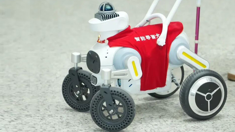 Shenzhen_Metro_Launches_AI_Robot_Guide_Dog__Xiaosuan_ - News for amigos, by amigos Shenzhen_Metro_Launches_AI_Robot_Guide_Dog__Xiaosuan_