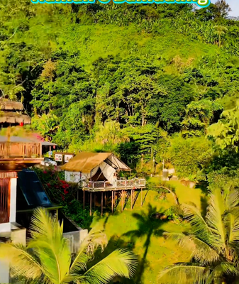 Embrace the Wild: Forest Camping in Hainan's Baihualing 🌿🏕️ video poster