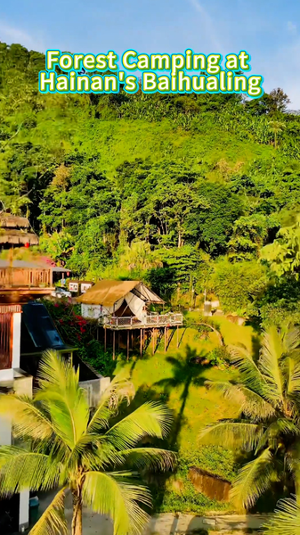 Embrace the Wild: Forest Camping in Hainan's Baihualing 🌿🏕️ video poster