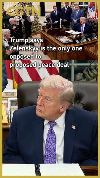 Trump__Zelenskyy_Alone_Opposes_Near_Deal_Peace_Plan video poster