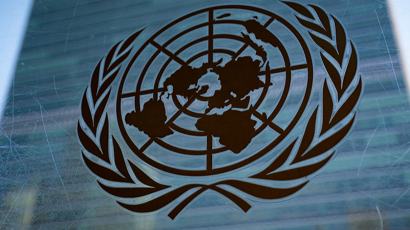 UNCTAD__AI_Success_Hinges_on_Ecosystem_Over_Technology