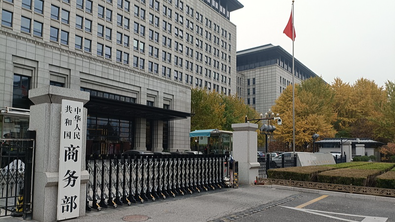 UN_Cargo_Treaty_Showcases_the_Chinese_mainland_s_Multilateral_Spirit