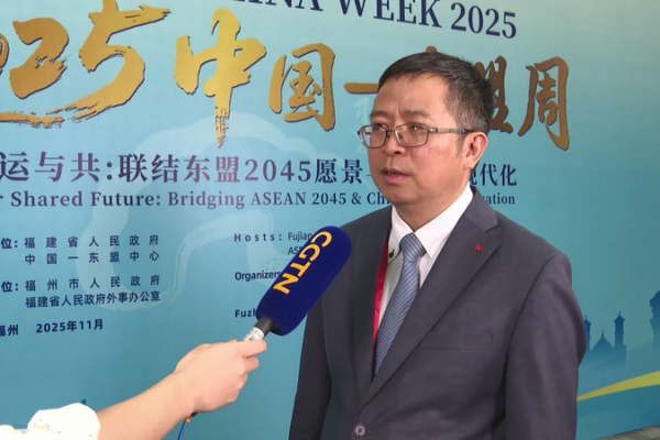 Vietnamese_Envoy_Hails_Hainan_FTP_Customs_Launch__Boosting_ASEAN_Trade video poster