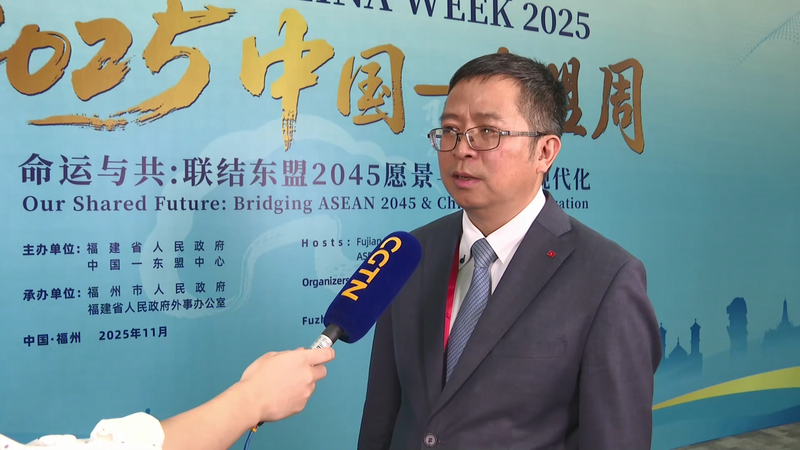 Vietnamese_Envoy_Hails_Hainan_FTP_Customs_Launch__Boosting_ASEAN_Trade video poster