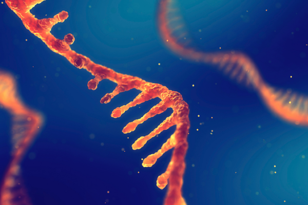 Viruses_Hijack_Bacteria_with_Hidden_RNA_Messages