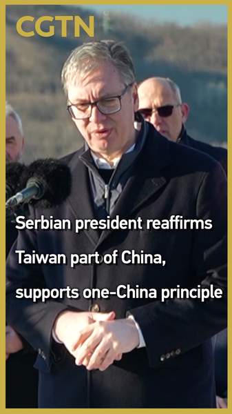 Vucic_Backs_One_China_Principle_During_Danube_Corridor_Visit video poster