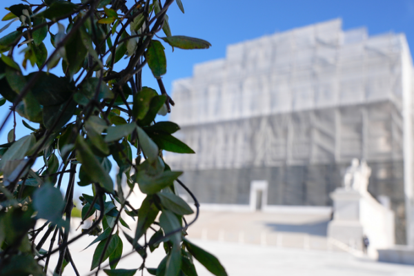 Supreme Court to Decide Trump’s Bid on Birthright Citizenship 🚨