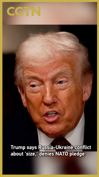 Trump: Russia’s size will win in Ukraine, denies NATO promise video poster