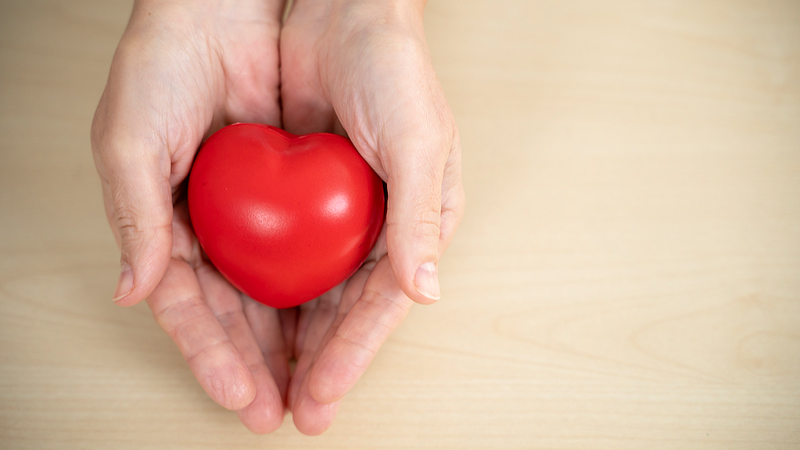 Young_Donors_Fuel_2024_Organ_Donation_Surge_in_the_Chinese_Mainland - News for amigos, by amigos Young_Donors_Fuel_2024_Organ_Donation_Surge_in_the_Chinese_Mainland