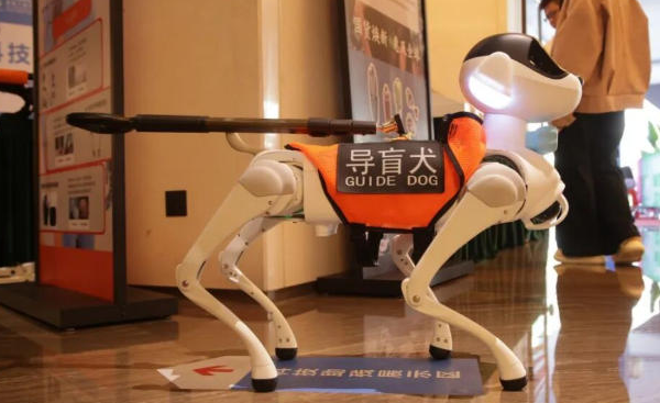 Shenzhen’s High-Tech Playbook: Marathons, Robots & Green Energy