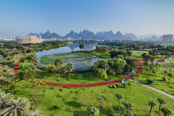 Chinese Mainland Plants Over 8M Hectares in 2025 🌱