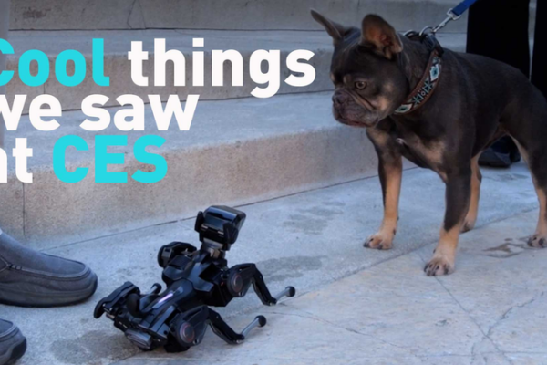 5_Cool_Tech_Finds_at_CES_2026 video poster