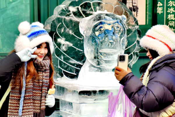 Harbin’s Street Transformed by Vivid Chinese Zodiac Ice Sculptures